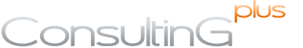 Consulting Plus